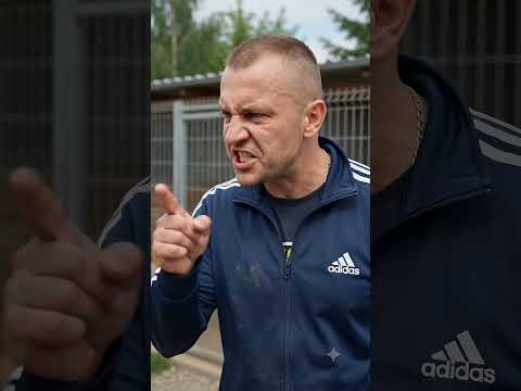 Nazwała psy ze schroniska „wybrakowanymi”… Reakcja pracownika to mistrzostwo!