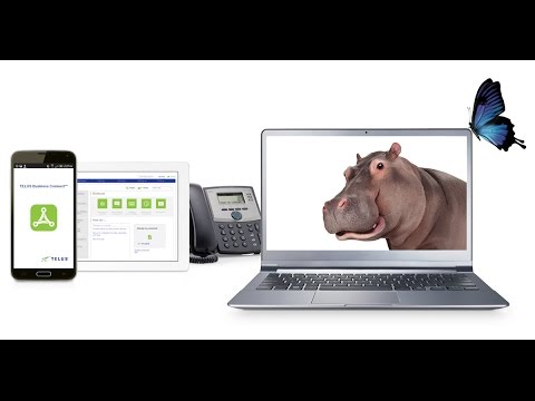 TELUS Business Connect™