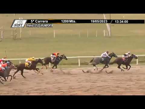 SINT - COLONIA 230519 -  c05 1° VISION DAY