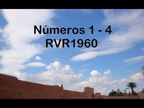 La Biblia en un año/Números 1 - 4 (Audio, Letra) Día 41