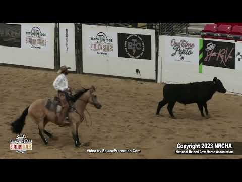 SJR DIAMONDS JUSTIFY shown by MATT KOCH - 2023 NRCHA Stallion Stakes (Cow, Open Derby)