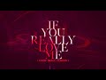 David Guetta - If You Really Love Me (How Will I Know) [Lyric Video] (Feat. MistaJam & John Newman)
