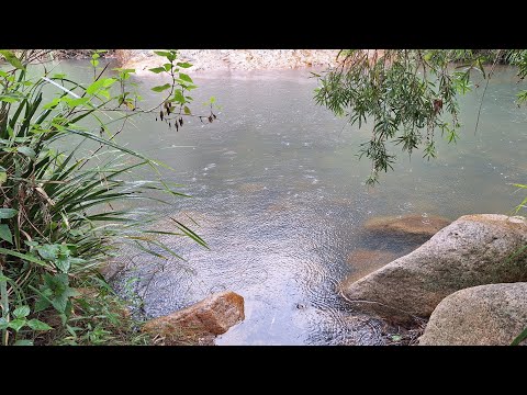 Lower Portals walk, Mount Barney National Park,  Queensland