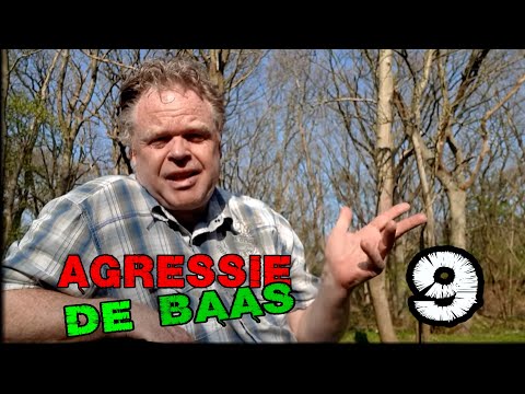 Agressie de baas afl. 9  -  'klootzak'  - omgaan met frustratie en instrumentele agressie