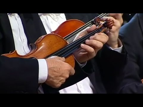Vivaldi Winter 2nd mov by M.Meštrović