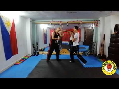 basic 12 stricks blocking and disarming