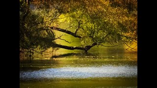 Fall 2024 in my neighborhood