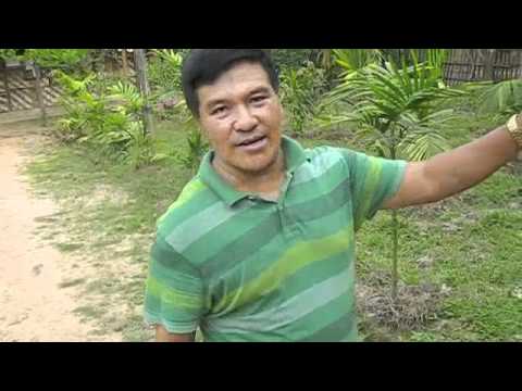 Burma orphanage tour with Morris