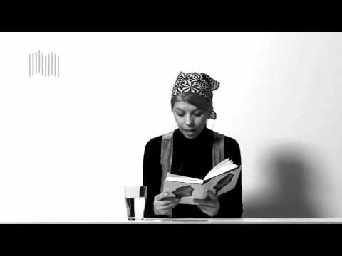 Marica Bodrožic - "The Memory of Dragonflies" - Luchterhand / btb