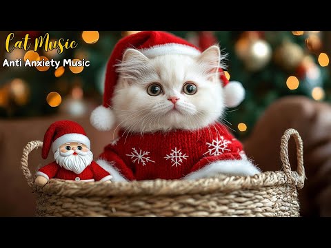 24 HOURS Relaxing Christmas Music for Cats 🎄 Soothing Music to Cat Sleep Easy and Reduce Stress 🎶