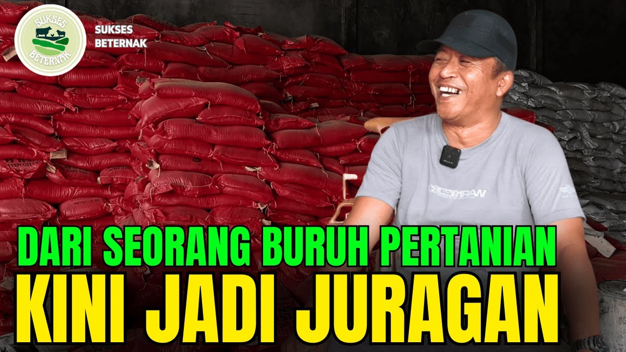 USAHA DESA, OMSET RASA KOTA!!! | PENGUSAHA BAHAN BAKU PAKAN DARI PURBOLINGGO, LAMPUNG TIMUR