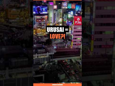 How 'Urusai' Became a Japanese Term of Endearment (Wait, What?)