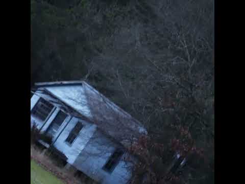 [FREE] Witch house type Beat | Darkwave X Crystal Castles X Coldwave type beat | "Woods"