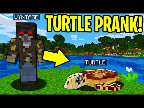 TROLLING AS A TURTLE IN MINECRAFT!