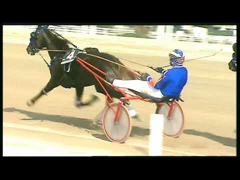 Trotto 06/11/2020 - 1ª corsa