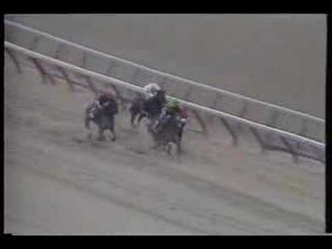 JOSE SANTOS 1989 Grey Lag H. Lay Down