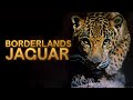 Borderlands Jaguar - Official Trailer - Available on AppleTV & Amazon Prime