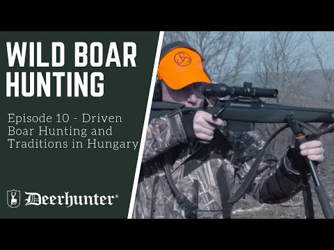 Treibjagd auf Wildschweine und Traditionen in Ungarn