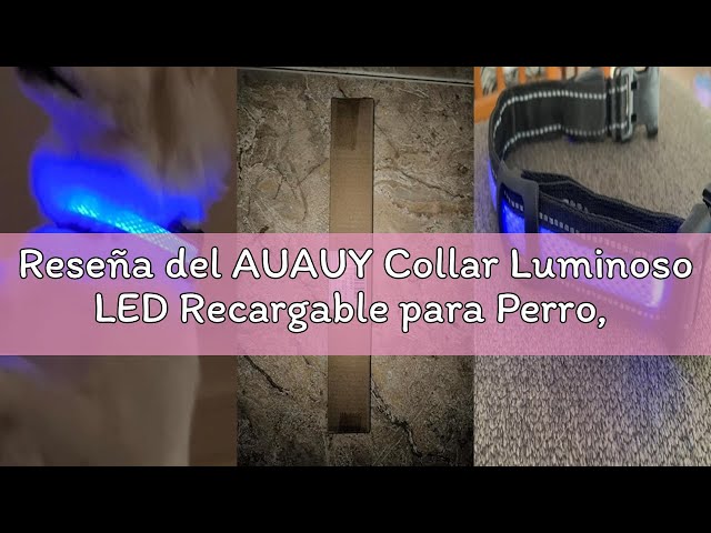 Vídeo relacionado con AUAUY Collar Luminoso Recargable para Perro, Collar LED con Type-C y 3 Modos Brillo, Impermeable, Luz para Perros Pequeños/Medios/Grandes (Verde-M)