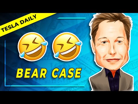 Elon Musk Laughs Off Tesla Bear Case + TSLA Investor Meetings