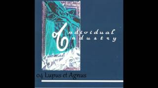 INDIVIDUAL INDUSTRY - TEMPLUM PROBUS 1993 (FULL ALBUM)