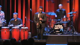 'Devastated' - New Cool Collective