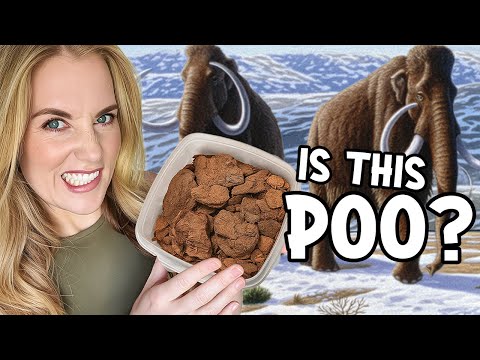What do you know about WOOLLY MAMMOTHS? | Mystery Unboxing with Maddie
