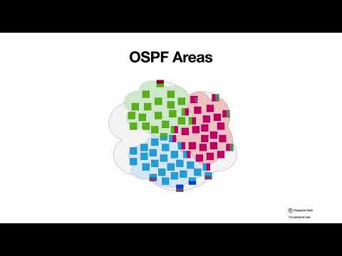 Basic features of OSPF