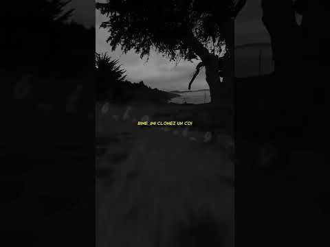 Dan Gerosu feat. Cheloo - Cantec de dragoste (lyrics)