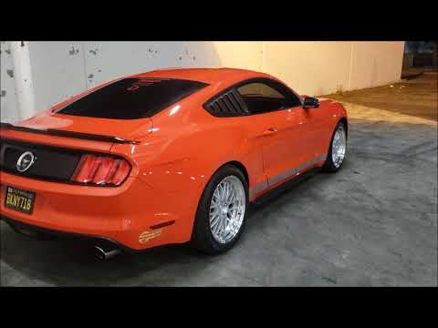 BEAD MAKER PAINT SEALANT