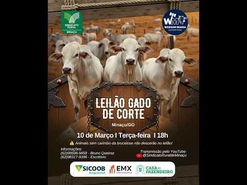 LEILÃO GADO DE CORTE - SINDICATO RURAL DE MINAÇU GO - 10/03/2026