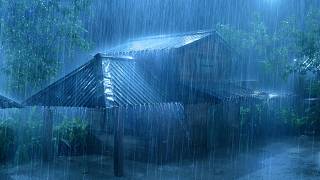 (No Ads) Heavy Rain & Deep Thunder on Tin Roof 🌧️ Natural White Noise for Peaceful Sleep