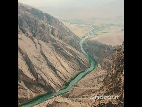 Naser Razazi   Vintage Concert