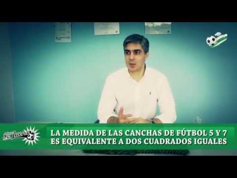 SPORTSVIDEO HD - SPORTLINK Césped sintético