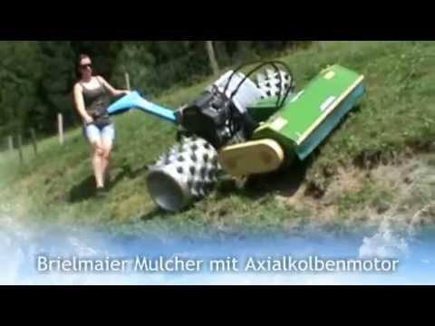 Brielmaier Mulcher