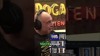 Trump: African Dictator Show in the White House? #shorts