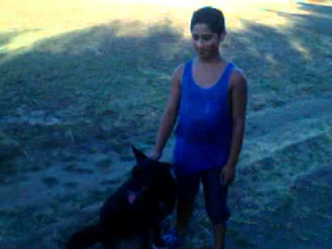 Harlem shake kross pompey