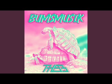 Bumsmusik