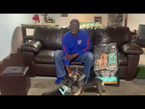 The Ultimate Guide to Feeding Your French Bulldog: Top Foods and Treats