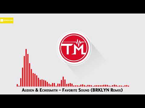 Audien & Echosmith - Favorite Sound (BRKLYN Remix)
