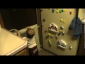 Cooper Playing Peek A Boo With Spongebob