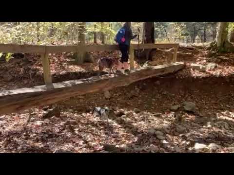 Turkey Creek Bridge (creek was dry on this visit)