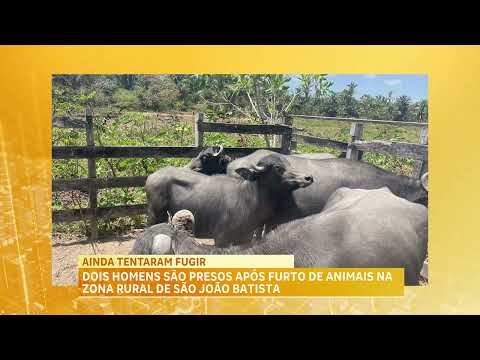 Dois homens são presos após furtarem búfalos na zona rural de São João Batista