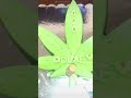 Smashable Cannabis Infused Edible Leaf!