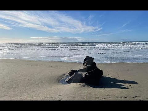 The Beauty Of Mad River Beach County Park In Arcata, California