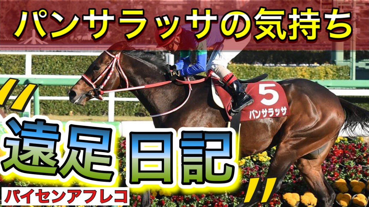 【馬の気持ちシリーズ】パンサラッサの気持ち パンサラッサの遠足日記