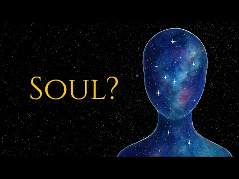 Do You Have a Soul? | From Plato to Neuroscience