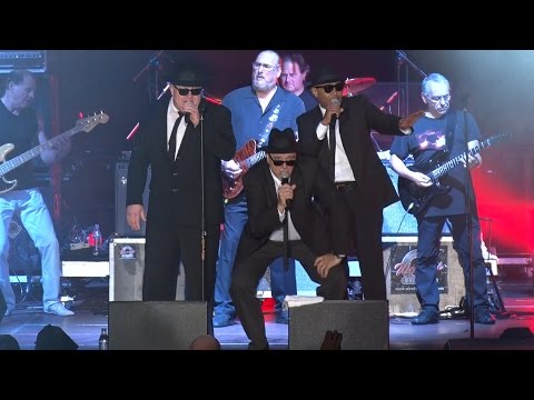 THE ORIGINAL BLUES BROTHERS "Everybody needs somebody" Live @ wROCK for Freedom 2014 / Poland