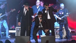 THE ORIGINAL BLUES BROTHERS &quot;Everybody needs somebody&quot; Live @ wROCK for Freedom 2014 / Poland