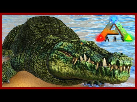 Big Bad Crocodile - Deinosuchus Taming - The Island Map - Ark Survival Evolved Ep 14